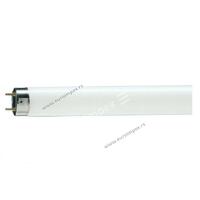 FLUO CEV TL-D 36W/54-765 G13 6200K 1213.60mm Philips